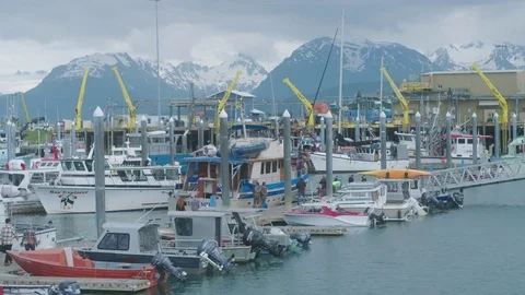 Safe Harbor Full of Various Watercraft Securely at Dock with Large Mountains Stock Footage 83147730
