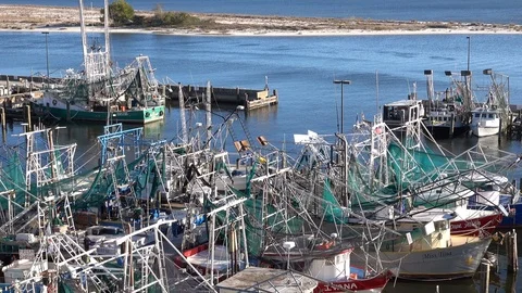 Safe harbor on the Gulf coast Stock Footage 100041322