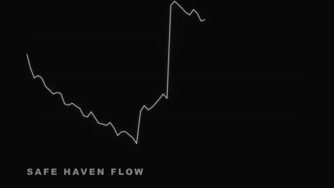 Safe Haven Flow Text on Black Background Minimalist Graphic Stock Footage 335474142