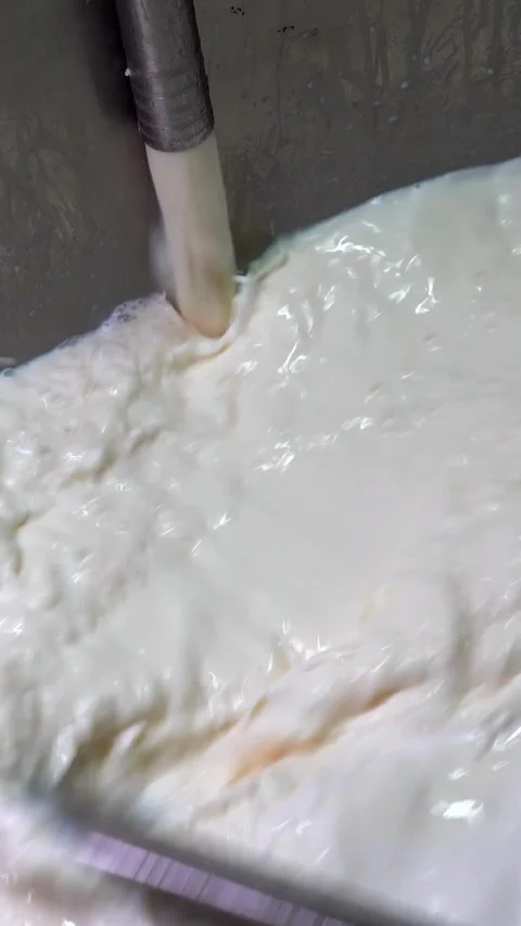 Safe Milk Production Stock Footage 313259079