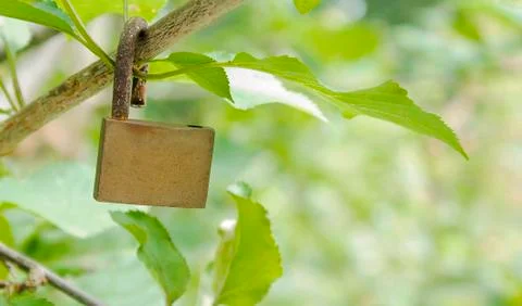 Safe the nature Stock Photos
