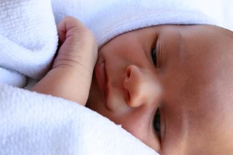 Safely wrapped Stock Photos