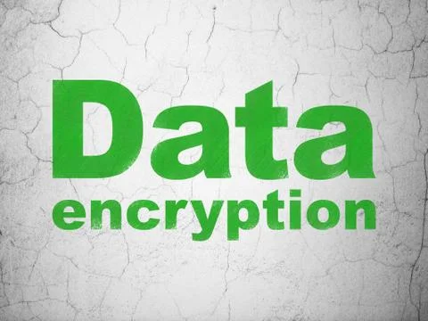 Safety concept: Data Encryption on wall background Illustrazione stock