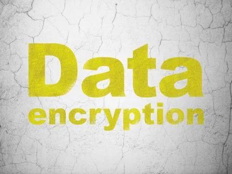 Safety concept: Data Encryption on wall background Illustrazione stock