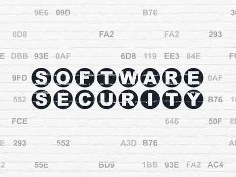 Safety concept: Software Security on wall background Stock-Illustration