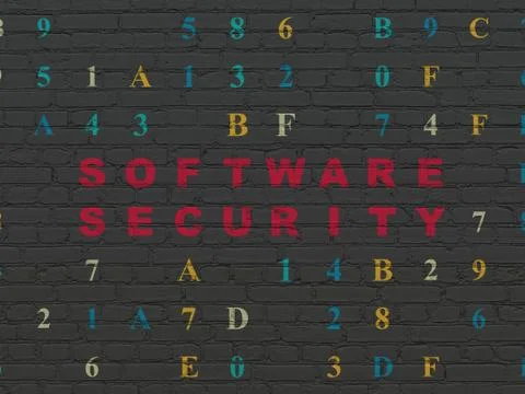 Safety concept: Software Security on wall background Stock-Illustration