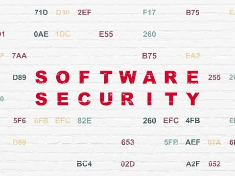 Safety concept: Software Security on wall background Stock-Illustration