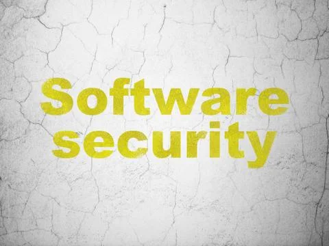 Safety concept: Software Security on wall background Illustrazione stock