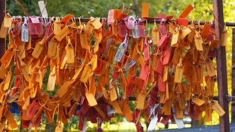 Safety Control Seals Stock Footage 94039069