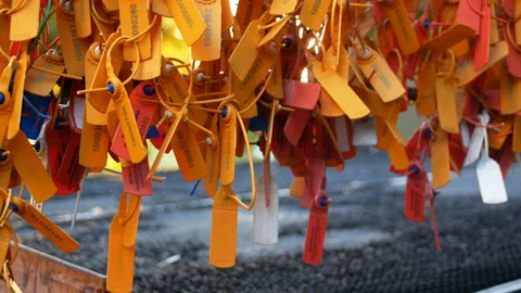 Safety Control Seals Video stock 94039533