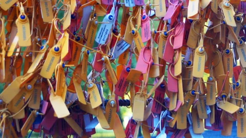 Safety Control Seals Video stock 94039906