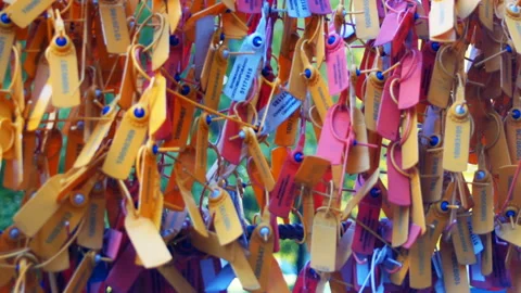 Safety Control Seals Video stock 94040030