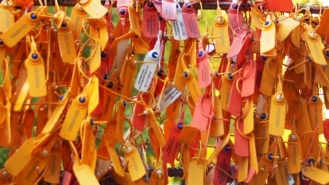 Safety Control Seals Video stock 94040151