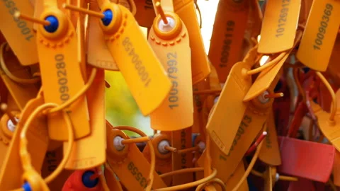 Safety Control Seals Video stock 94040260