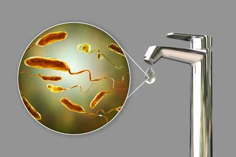 Safety of drinking water concept, bacteria Vibrio cholerae in water Illustrazione stock