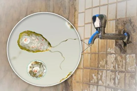 Safety of drinking water concept 스톡 일러스트