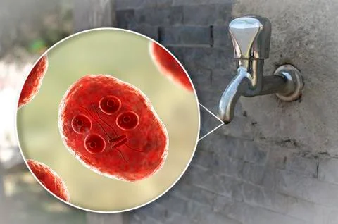 Safety of drinking water concept 스톡 일러스트