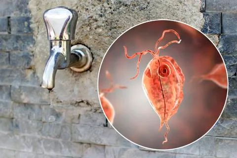 Safety of drinking water concept 스톡 일러스트