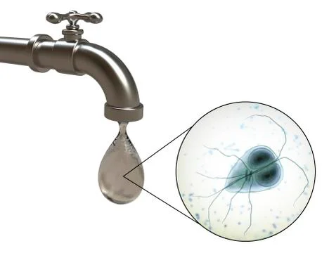 Safety of drinking water concept Stock Illustration