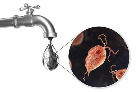 Safety of drinking water concept Illustrazione stock