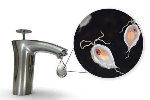Safety of drinking water concept Illustrazione stock