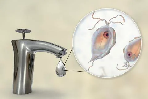 Safety of drinking water concept Illustrazione stock