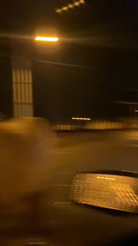 Safety First, Random Horse Second, Castilho, Sao Paulo, Brazil - 20 Aug 2021 Stock Footage 317401061