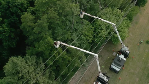 Safety tree trimming by work crew from company to keep tree limbs from Stock Footage 246317927