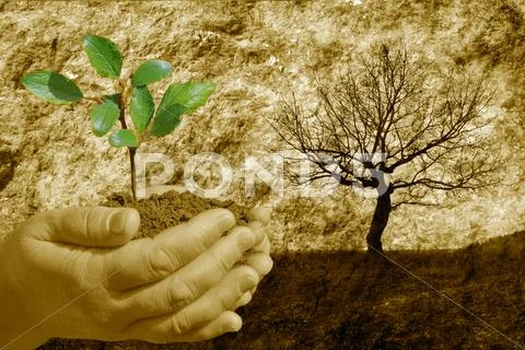 Safety world Stock Illustration