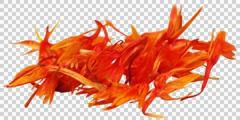 Safflower Stock Photos