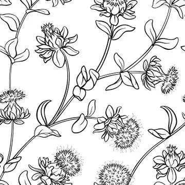 Safflower seamless pattern Stock Illustration