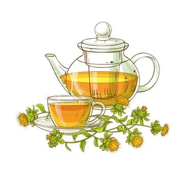 Safflower tea vector illustration Stock Illustration