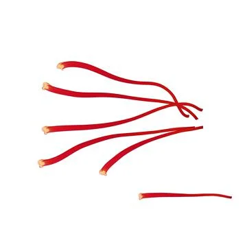 Saffron flower Bud open close-up. Seasoning expensive saffron Stock Illustration