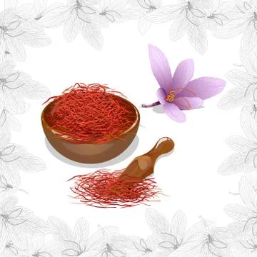 Saffron flower set in decorative frame. Vector isolated image Stock-Illustration