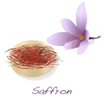 Saffron flower set. Vector. Stock Illustration