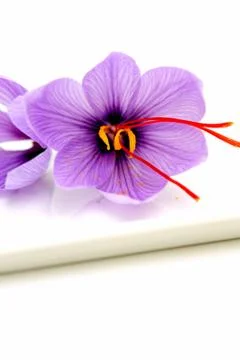 Saffron flowers Stock Photos