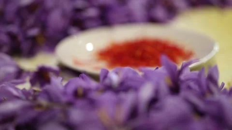 Saffron flowers - zafferano Stock Footage 220648707