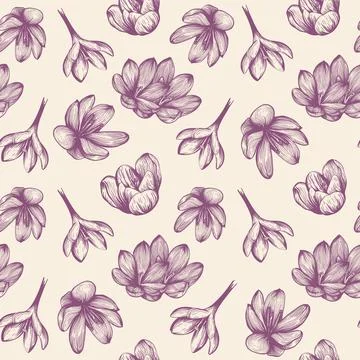 Saffron pattern sketch. Crocus flower pattern Stock Illustration