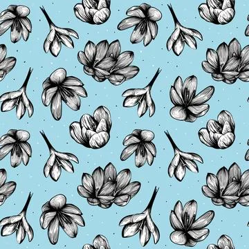 Saffron seamless pattern. Crocus flower Stock Illustration