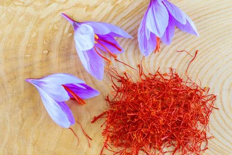 Saffron stamens are piled on the table. Freshly picked saffron crocuses near  Stock Photos