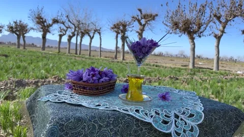 Saffron tea in beautiful farm Stock Footage 170073839