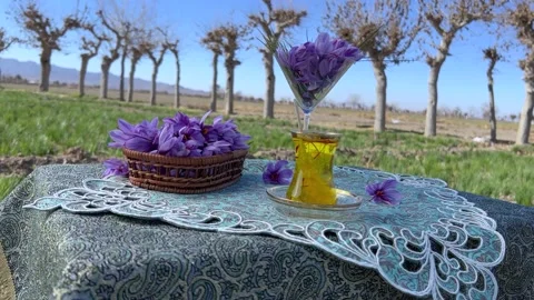 Saffron tea in beautiful nature Stock Footage 170078408
