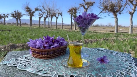 Saffron tea in the heart of nature Stock Footage 170073707