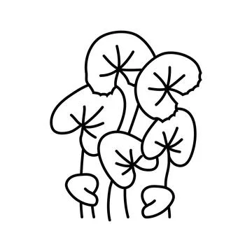Saffron threads ayurvedic herb line icon vector illustration Illustrazione stock