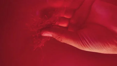 Saffron threads falling from the lower view Stock Footage 171235376