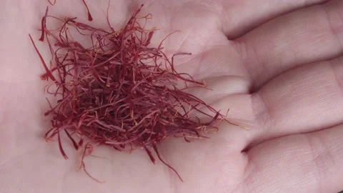 Saffron threads in hand Stock Footage 144232365