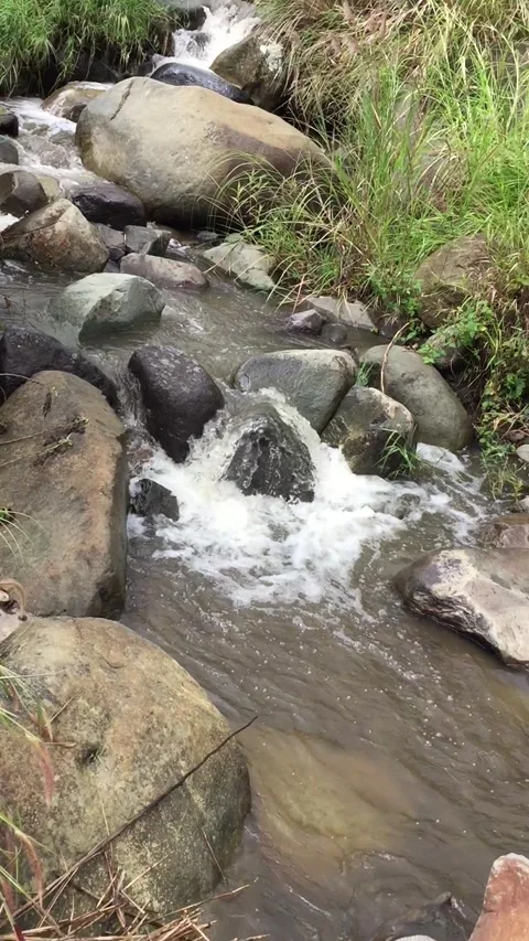 Sagada 3 스톡 동영상 142185823