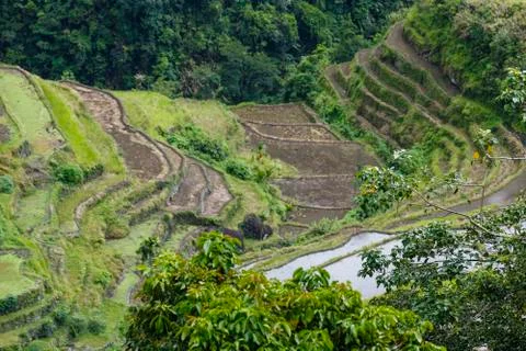 Sagada fields II,philippines Stock Photos