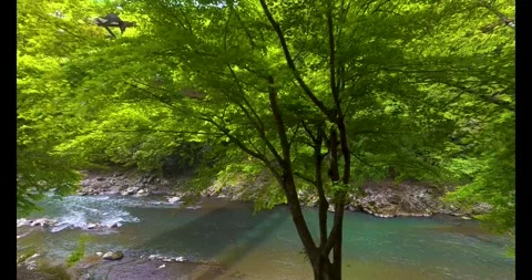 Sagano Romantic Train ride from Torokko Kameoka to Arashiyama Stock Footage 337073580