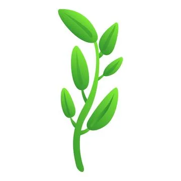 Sage basil plant icon cartoon vector. Aromatic herb Stock Illustration